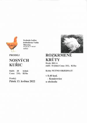 Chovné kuřice a krůty 13.5.2022