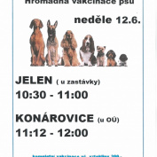 Hromadná vakcinace psů proběhne v neděli 12.6.2022