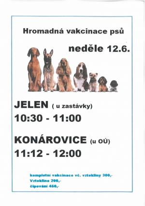 Hromadná vakcinace psů proběhne v neděli 12.6.2022