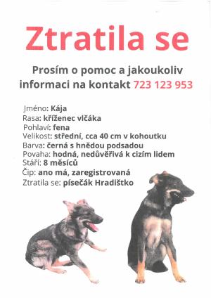 Pomoc s hledání feny